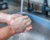 Washing hands in the sink using the goat milk soap