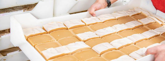 goat milk soap