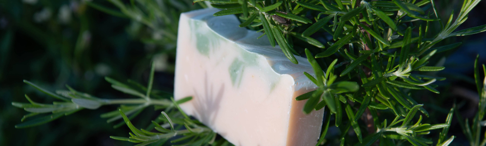 Rosemary Essential Oil