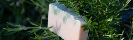 Rosemary Essential Oil