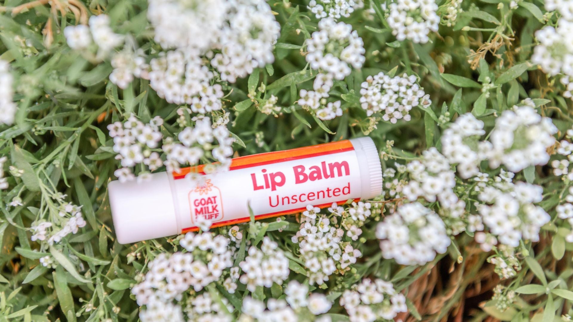 Creamy Lip Balm for Soft, Moist Lips—No Waxy Feel
