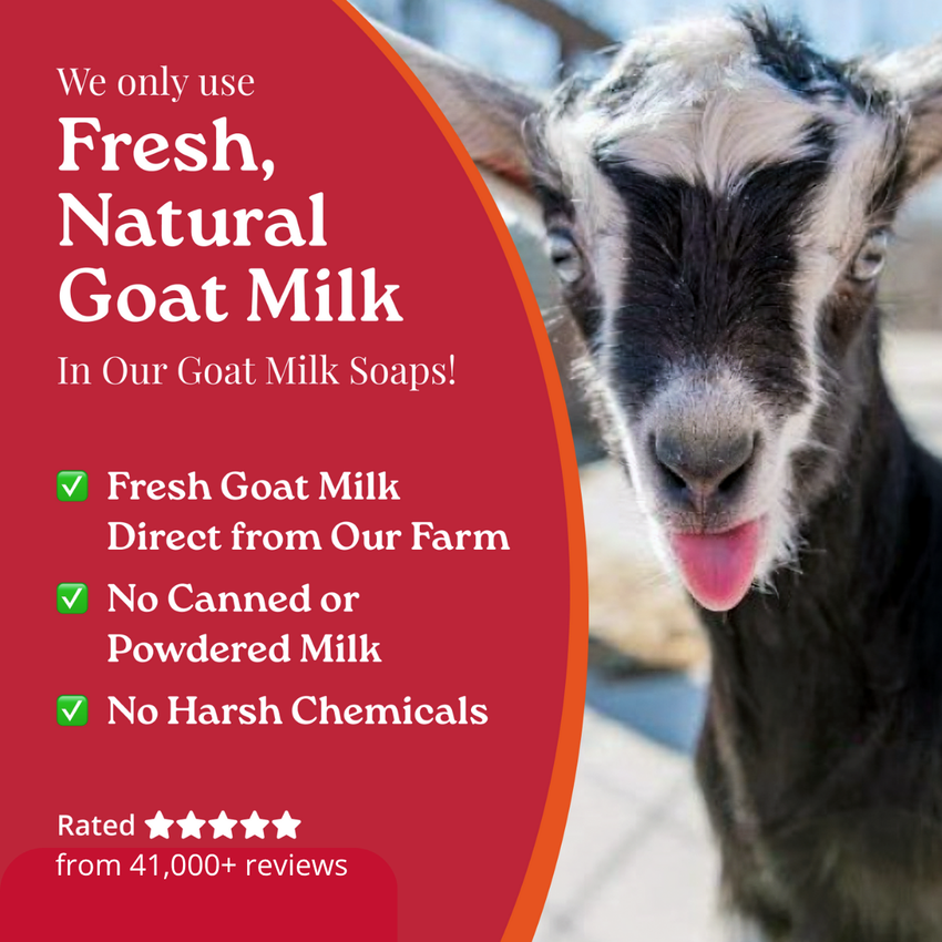 Goat milk soap advertisement with a goat and text about fresh natural goat milk