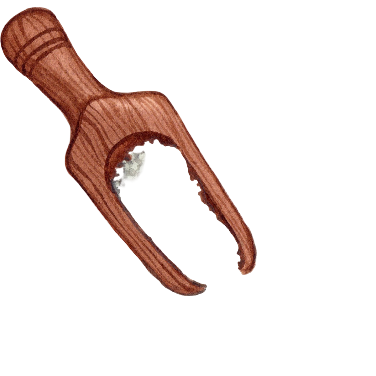 wooden scoop with Goat Milk Stuff laundry soap