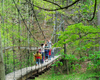 family crossing bridge in woods