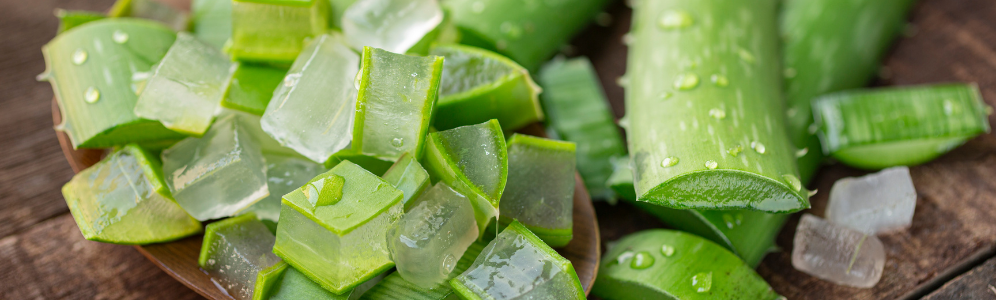 Aloe Benefits for Skin