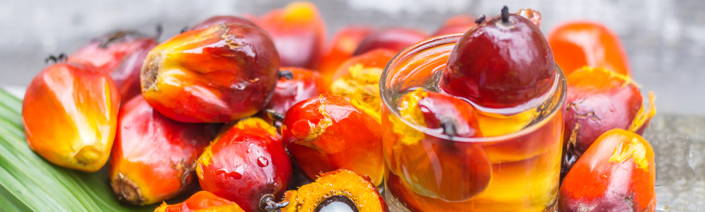 Sustainable Palm Oil Benefits for Skin