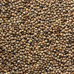 9 Fatty Acids