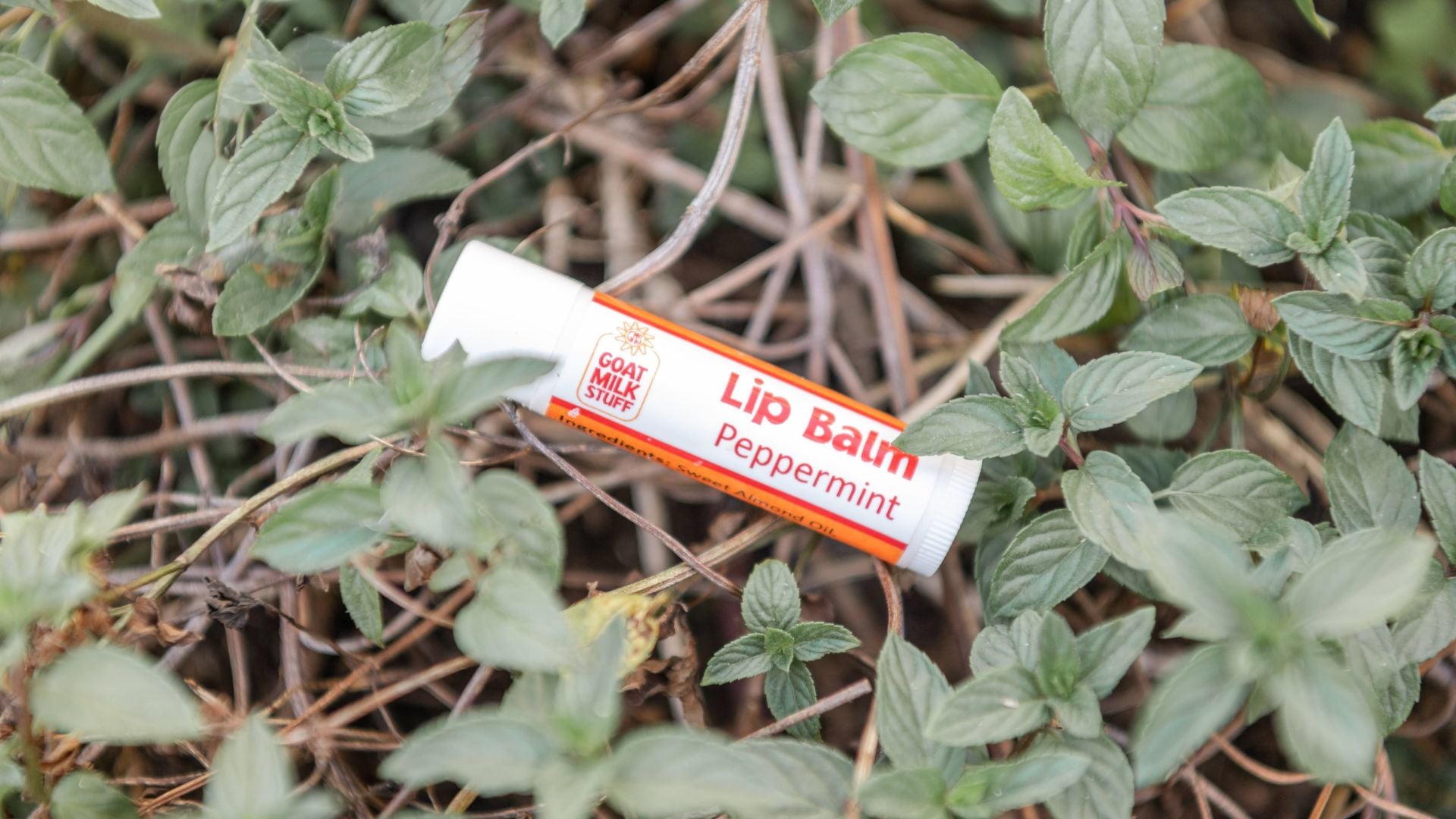 Long-Lasting Relief for Perpetually Chapped Lips