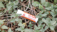 Peppermint Goat Milk Lip Balm resting among fresh mint leaves and stems outdoors
