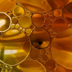 9 Fatty Acids