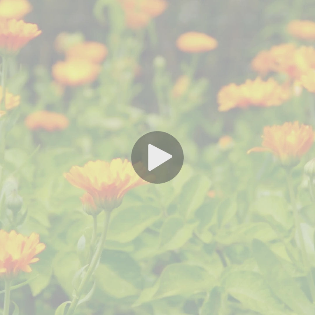 goat milk stuff testimonial video calendula
