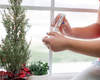 Using Small Goat Milk Solid Lotion on hands